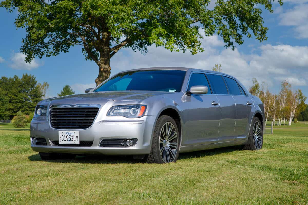 Elegant silver limousine parked on a grassy field with trees and blue sky.